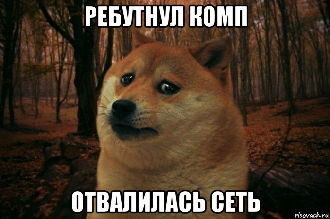 ребутнул комп отвалилась сеть, Мем SAD DOGE