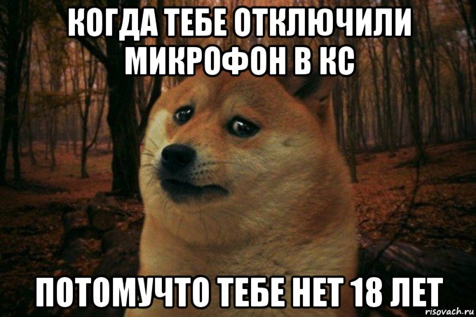 когда тебе отключили микрофон в кс потомучто тебе нет 18 лет, Мем SAD DOGE