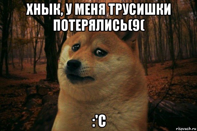 хнык, у меня трусишки потерялись(9( :'с, Мем SAD DOGE