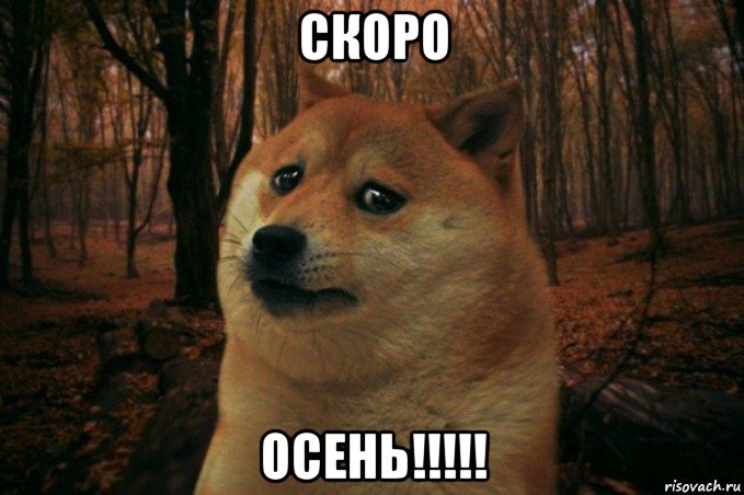 скоро осень!!!!!