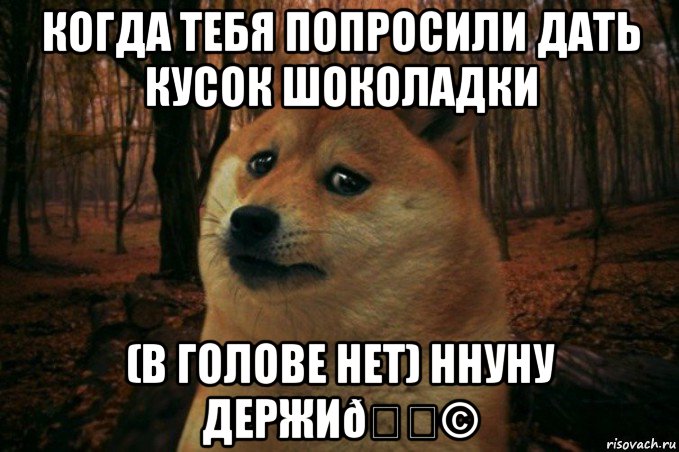 Мем SAD DOGE