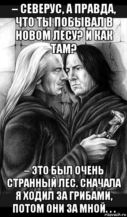 – северус, а правда, что ты побывал в новом лесу? и как там? – это был очень странный лес. сначала я ходил за грибами, потом они за мной. . ., Мем Снейп