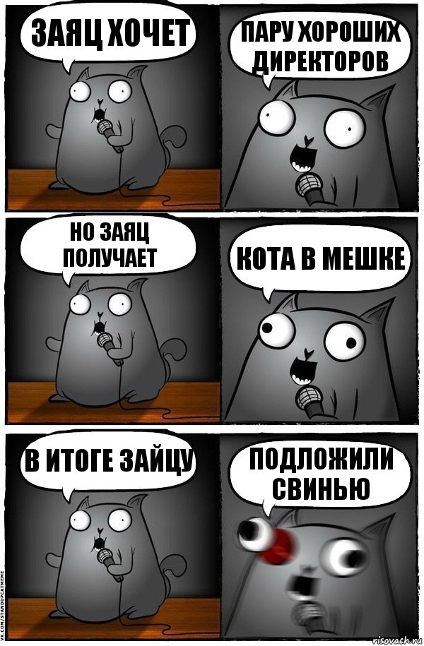 заяц хочет пару хороших директоров но заяц получает кота в мешке в итоге зайцу подложили свинью, Комикс  Стендап-кот