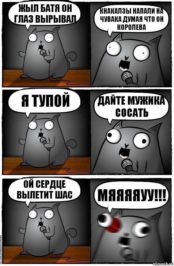 Жыл батя он глаз вырывал Кнакалзы напали на чувака думая что он королева Я тупой Дайте мужика сосать Ой сердце вылетит шас Мяяяяуу!!!, Комикс  Стендап-кот