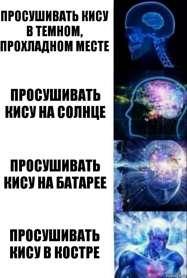 Просушивать кису в темном, прохладном месте Просушивать кису на солнце Просушивать кису на батарее Просушивать кису в костре, Комикс  Сверхразум