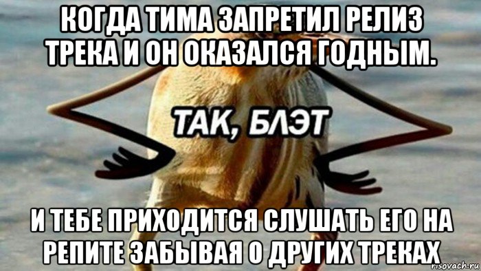 когда тима запретил релиз трека и он оказался годным. и тебе приходится слушать его на репите забывая о других треках, Мем  Так блэт