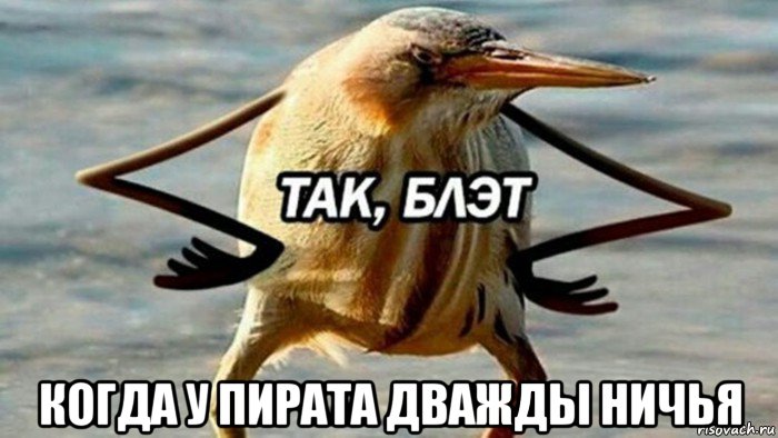  когда у пирата дважды ничья, Мем  Так блэт