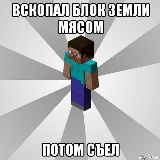 вскопал блок земли мясом потом съел, Мем Типичный игрок Minecraft