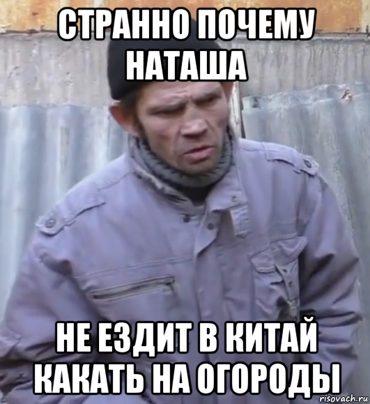 странно почему наташа не ездит в китай какать на огороды, Мем  Ты втираешь мне какую то дичь