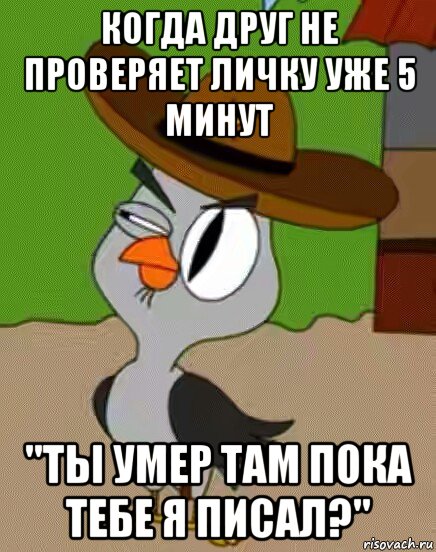 когда друг не проверяет личку уже 5 минут "ты умер там пока тебе я писал?", Мем    Упоротая сова