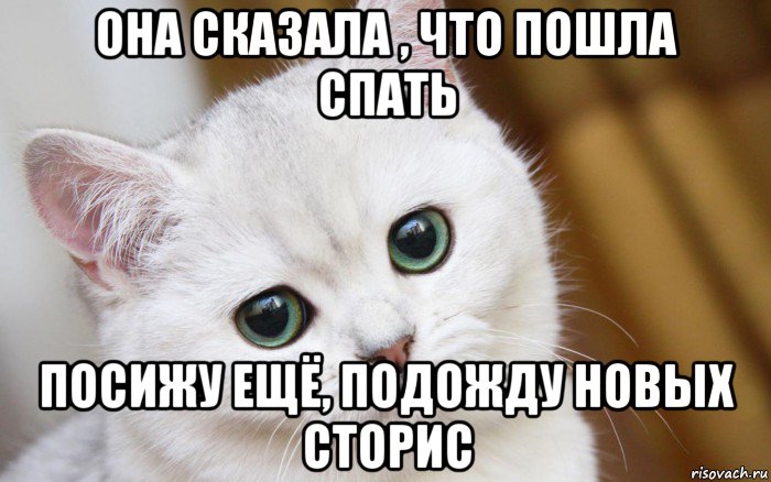 она сказала , что пошла спать посижу ещё, подожду новых сторис, Мем  В мире грустит один котик