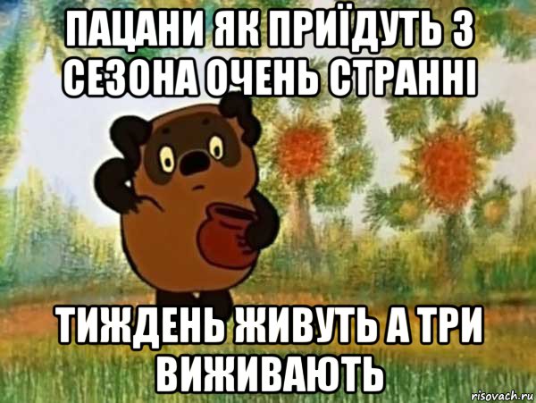 пацани як приїдуть з сезона очень странні тиждень живуть а три виживають, Мем Винни пух чешет затылок