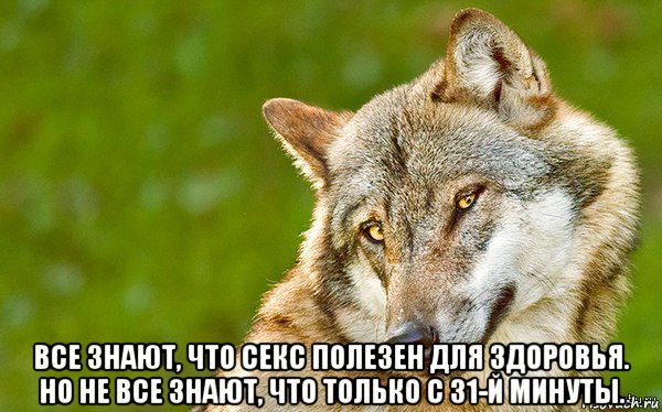  все знают, что секс полезен для здоровья. но не все знают, что только с 31-й минуты., Мем   Volf