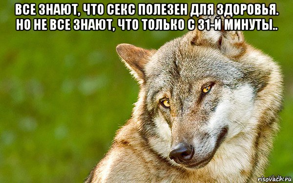 все знают, что секс полезен для здоровья. но не все знают, что только с 31-й минуты.. , Мем   Volf