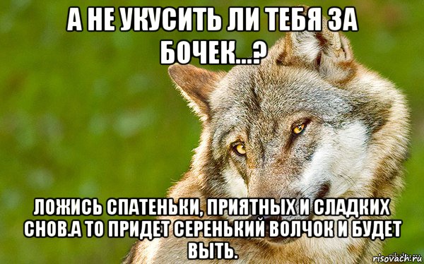 а не укусить ли тебя за бочек...? ложись спатеньки, приятных и сладких снов.а то придет серенький волчок и будет выть., Мем   Volf