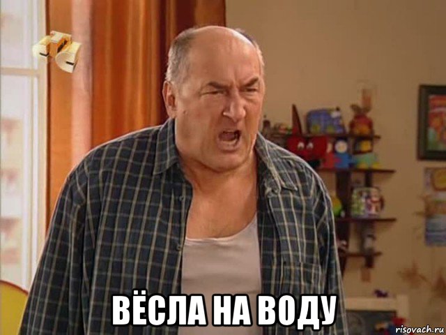  вёсла на воду, Мем Николай Воронин