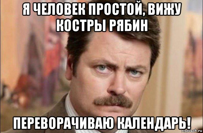 я человек простой, вижу костры рябин переворачиваю календарь!, Мем  Я человек простой