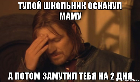 тупой школьник осканул маму а потом замутил тебя на 2 дня, Мем Закрывает лицо