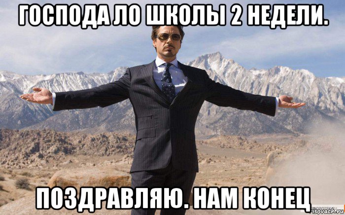 господа ло школы 2 недели. поздравляю. нам конец, Мем железный человек