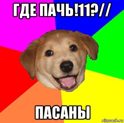 где пачь!11?// пасаны, Мем Advice Dog