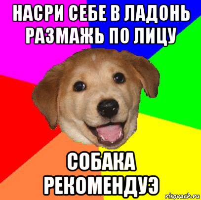 насри себе в ладонь размажь по лицу собака рекомендуэ, Мем Advice Dog