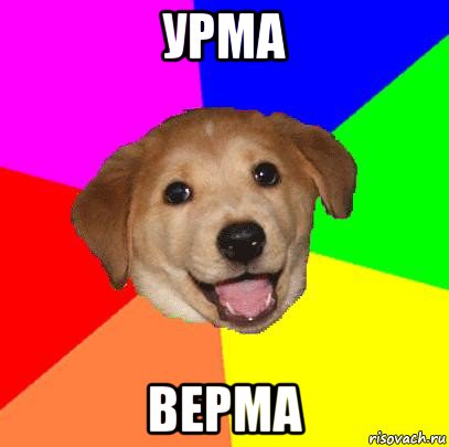 урма верма, Мем Advice Dog