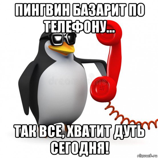 пингвин базарит по телефону... так все, хватит дуть сегодня!, Мем  Ало