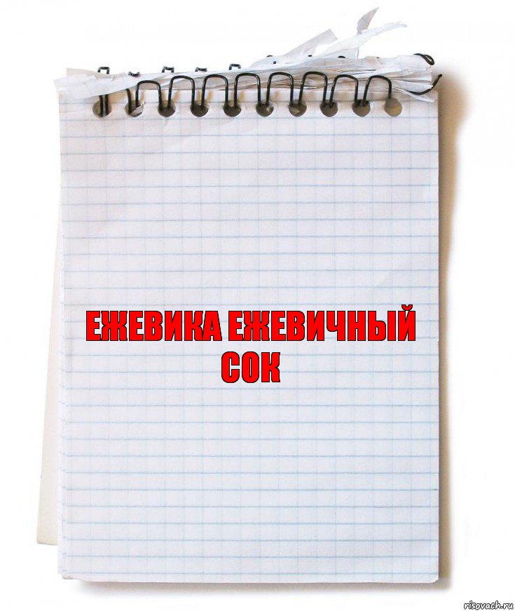 ЕЖЕВИКА ЕЖЕВИЧНЫЙ СОК