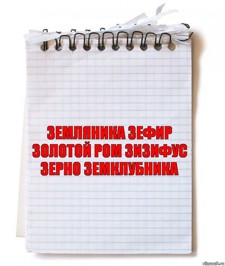 ЗЕМЛЯНИКА ЗЕФИР ЗОЛОТОЙ РОМ ЗИЗИФУС ЗЕРНО ЗЕМКЛУБНИКА, Комикс   блокнот с пружинкой