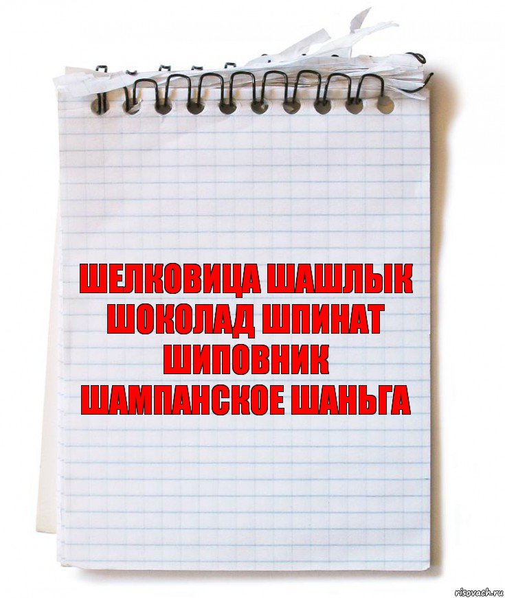 ШЕЛКОВИЦА ШАШЛЫК ШОКОЛАД ШПИНАТ ШИПОВНИК ШАМПАНСКОЕ ШАНЬГА, Комикс   блокнот с пружинкой