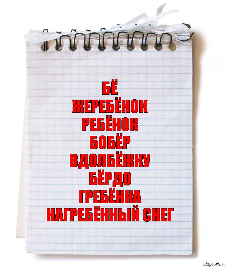 Бё
Жеребёнок
Ребёнок
Бобёр
Вдолбёжку
Бёрдо
Гребёнка
Нагребённый снег, Комикс   блокнот с пружинкой