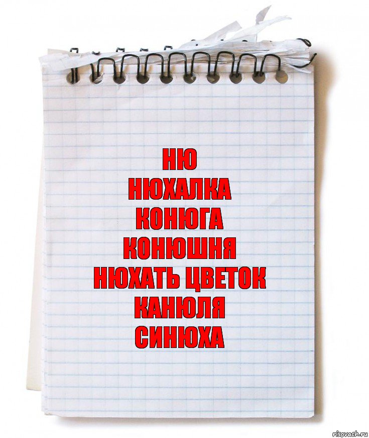 Ню
Нюхалка
Конюга
Конюшня
Нюхать цветок
Канюля
Синюха, Комикс   блокнот с пружинкой