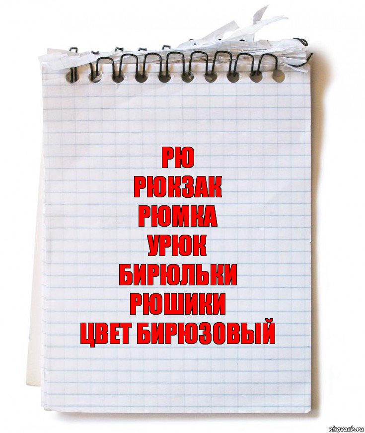 Рю
Рюкзак
Рюмка
Урюк
Бирюльки
Рюшики
Цвет бирюзовый, Комикс   блокнот с пружинкой