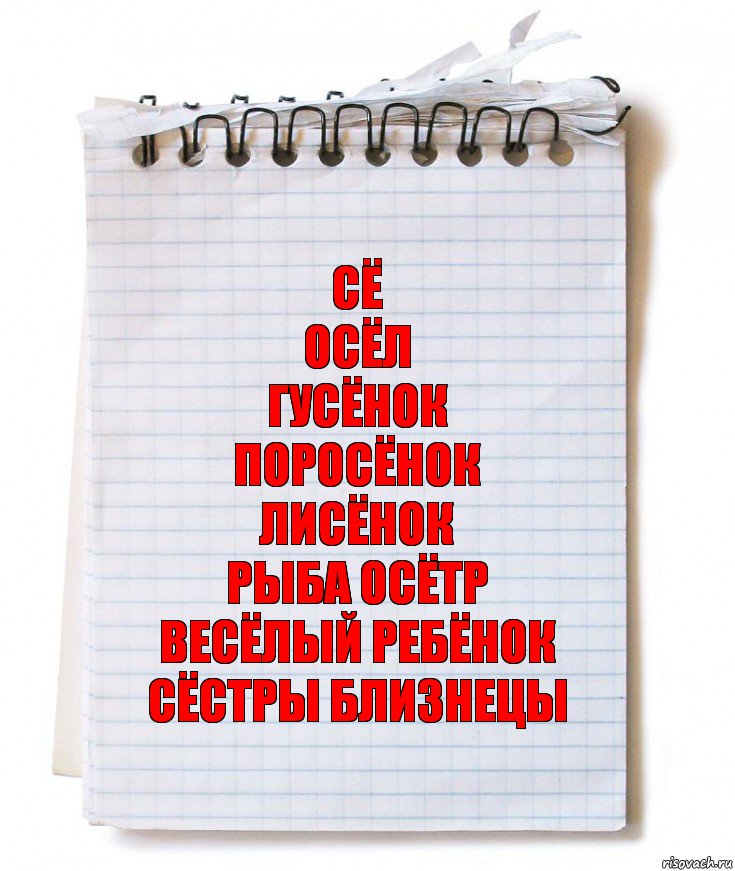 Сё
Осёл
Гусёнок
Поросёнок
Лисёнок
Рыба осётр
Весёлый ребёнок
Сёстры близнецы, Комикс   блокнот с пружинкой