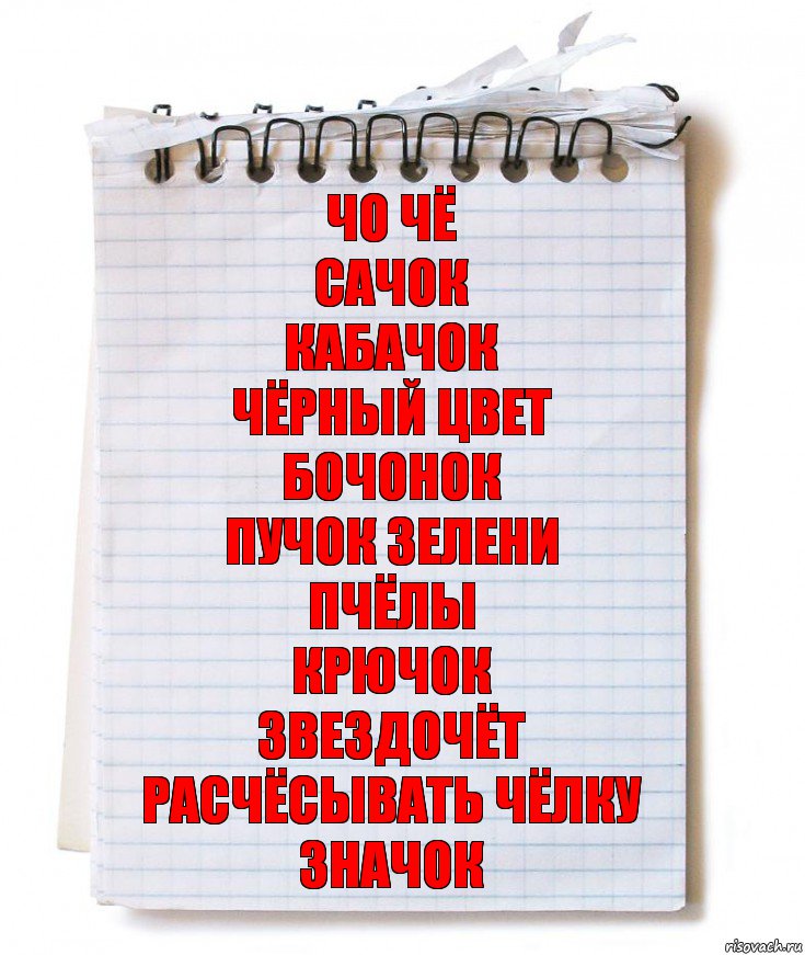 Чо Чё
Сачок
Кабачок
Чёрный цвет
Бочонок
Пучок зелени
Пчёлы
Крючок
Звездочёт
Расчёсывать чёлку
Значок, Комикс   блокнот с пружинкой