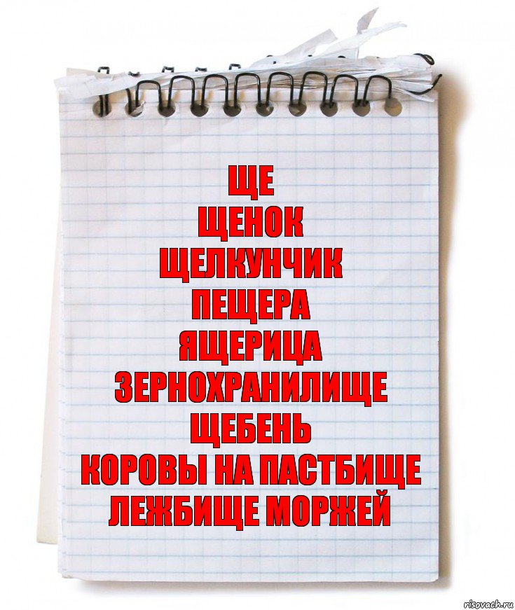 Ще
Щенок
Щелкунчик
Пещера
Ящерица
Зернохранилище
Щебень
Коровы на пастбище
Лежбище моржей, Комикс   блокнот с пружинкой