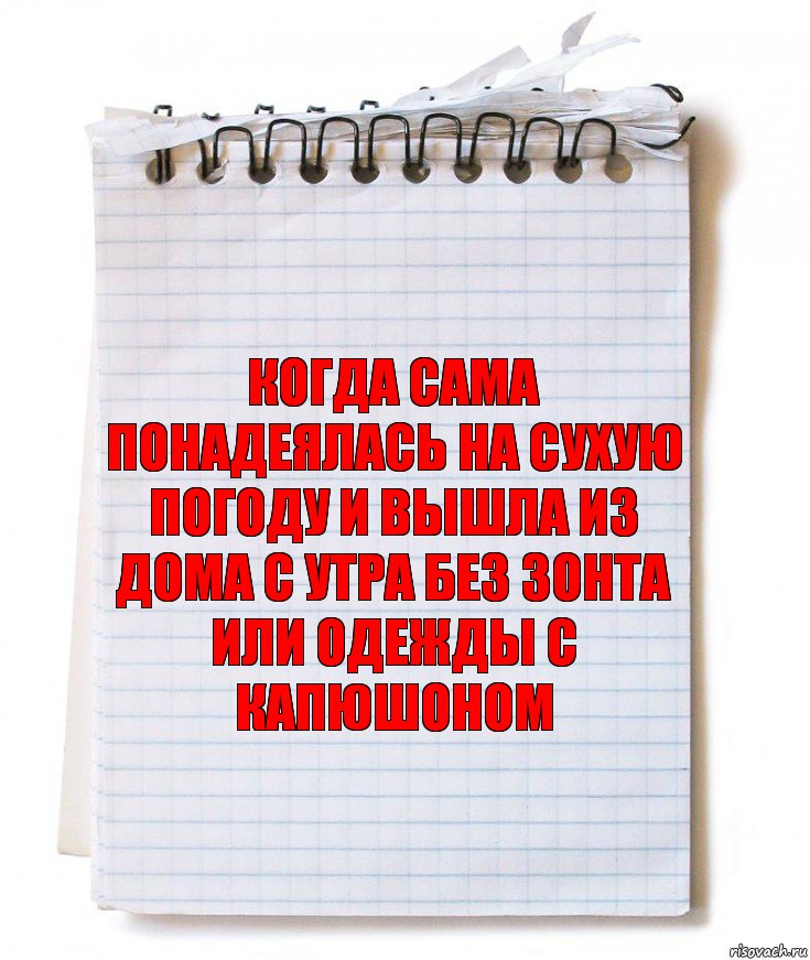 когда сама понадеялась на сухую погоду и вышла из дома с утра без зонта или одежды с капюшоном