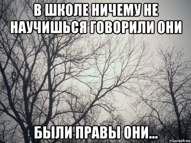 в школе ничему не научишься говорили они были правы они..., Мем  будет весело говорили они