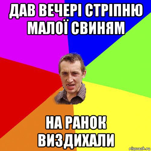 дав вечері стріпню малої свиням на ранок виздихали