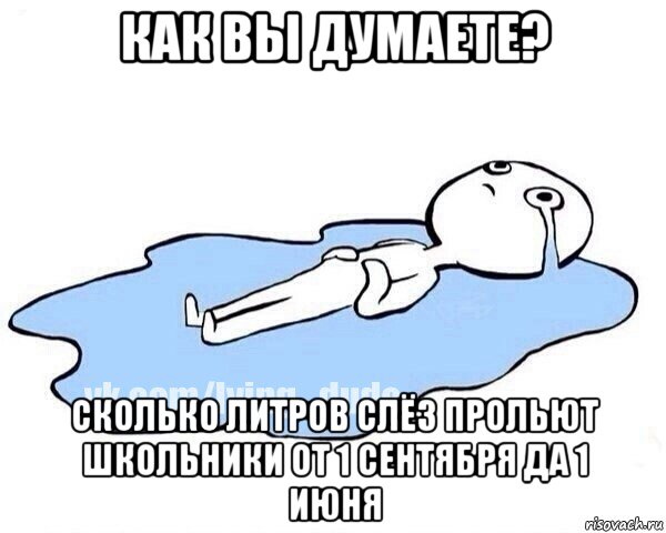 как вы думаете? сколько литров слёз прольют школьники от 1 сентября да 1 июня, Мем Этот момент когда