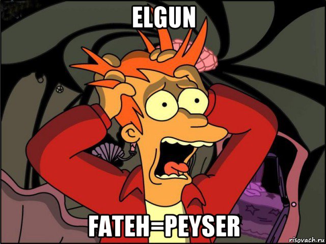 elgun fateh=peyser, Мем Фрай в панике