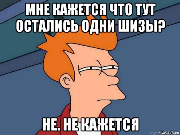 мне кажется что тут остались одни шизы? не. не кажется, Мем  Фрай (мне кажется или)