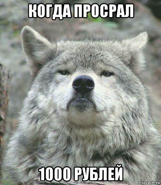 когда просрал 1000 рублей, Мем    Гордый волк