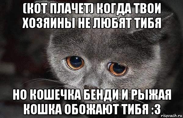 (кот плачет) когда твои хозяины не любят тибя но кошечка бенди и рыжая кошка обожают тибя :3, Мем  Грустный кот