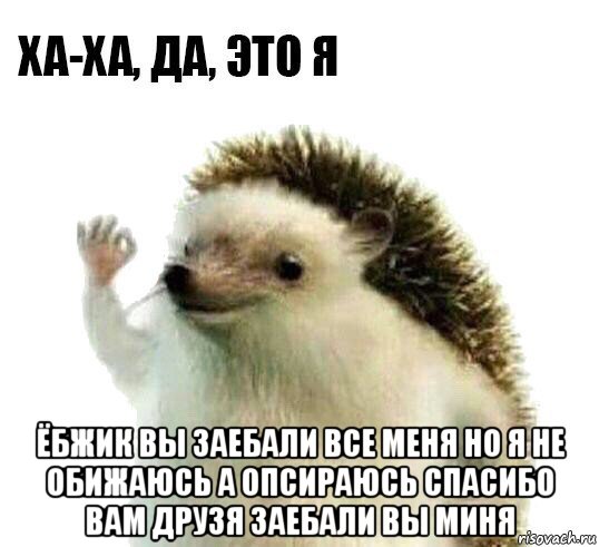  ёбжик вы заебали все меня но я не обижаюсь а опсираюсь спасибо вам друзя заебали вы миня, Мем Ха-ха да это я