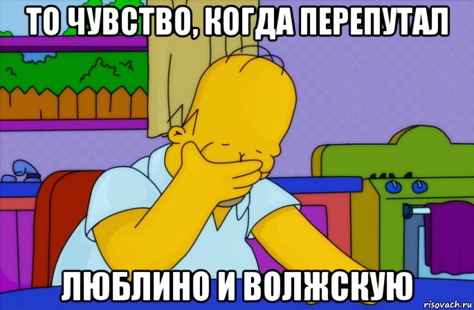 то чувство, когда перепутал люблино и волжскую, Мем Homer simpson facepalm