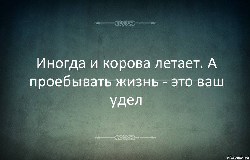 Иногда и корова летает. А проебывать жизнь - это ваш удел, Комикс Игра слов 3