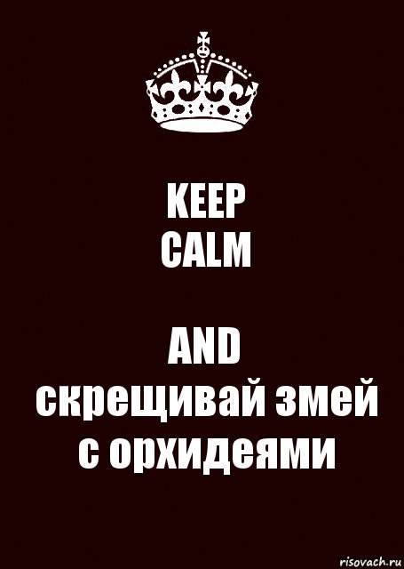 KEEP
CALM AND
скрещивай змей с орхидеями, Комикс keep calm