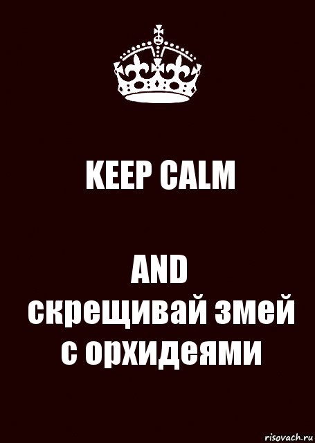 KEEP CALM AND
скрещивай змей с орхидеями, Комикс keep calm