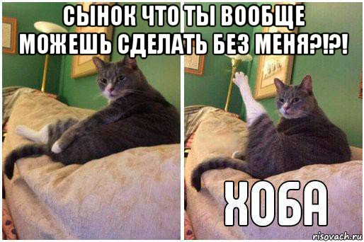 сынок что ты вообще можешь сделать без меня?!?! , Комикс Кот Хоба